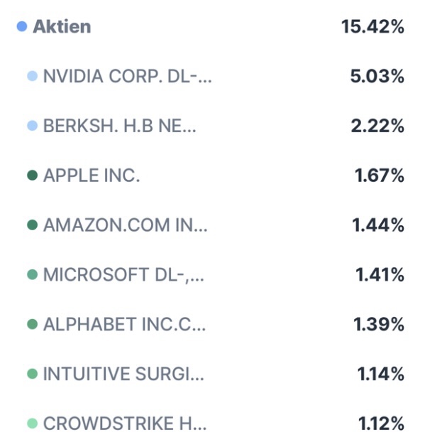 Depot-Update August 2025 von Coasting to FIRE: Liste unserer Einzelaktien